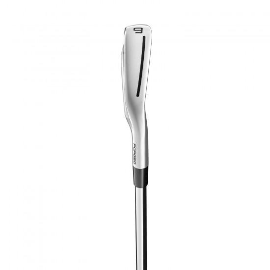 TaylorMade Golf P790 Irons 4 Iron - PW - Regular Flex